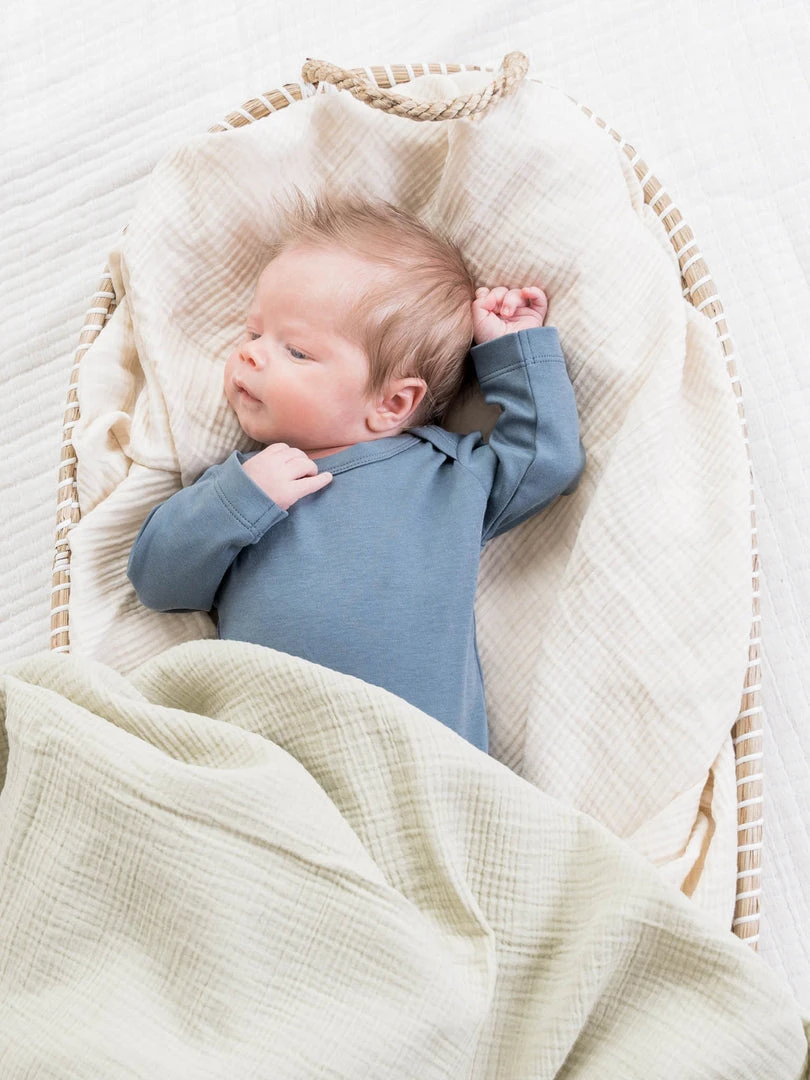 Colored Organics Classic Long Sleeve Bodysuit Baby (0-24m) 36 Colored Organics Classic Long Sleeve Bodysuit Baby (0-24m)