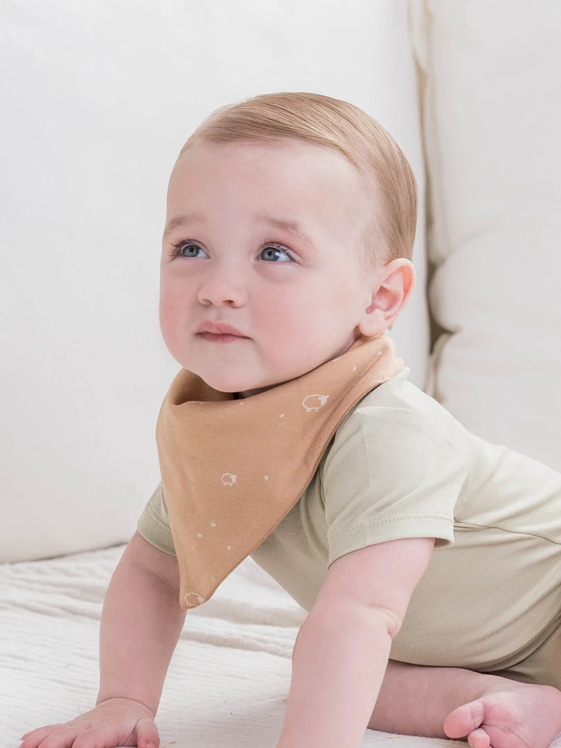 Colored Organics 2-Pack Bibs 4 Colored Organics 2-Pack Bibs