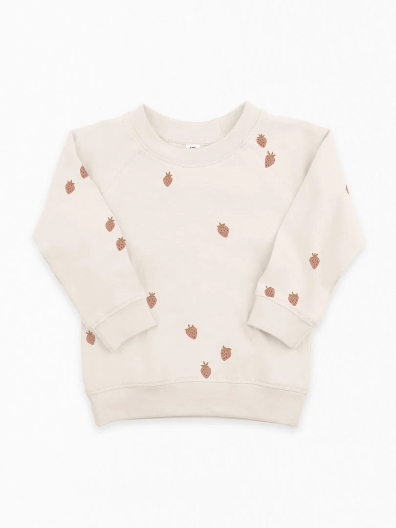 Colored Organics Portland Pullover 5 Colored Organics Portland Pullover