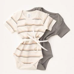 Colored Organics 2-Pack Short Sleeve Bodysuits