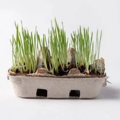 Eco-Kids Egg Coloring Kit Toys 9 Eco-Kids Egg Coloring Kit Toys