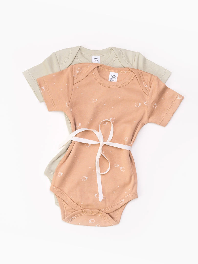 Colored Organics 2-Pack Short Sleeve Bodysuits 9 Colored Organics 2-Pack Short Sleeve Bodysuits